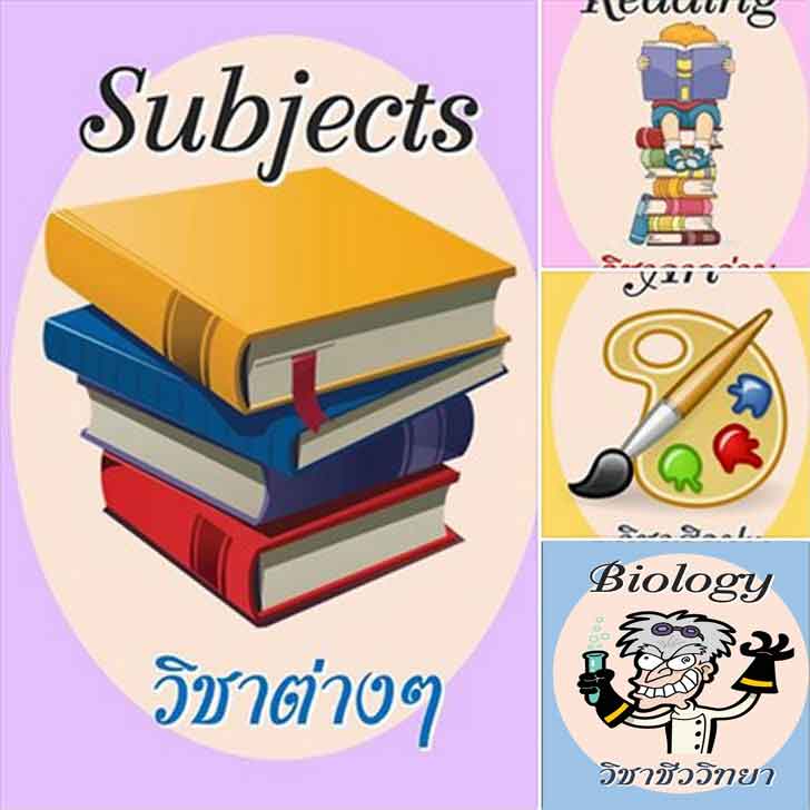 ͡¹͹ ѵäѧ ͧԪҵҧ (Subjects) 21 