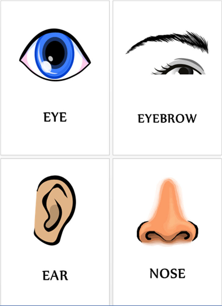 ͡¹͹ ѵäѧǡѺҧ 20 