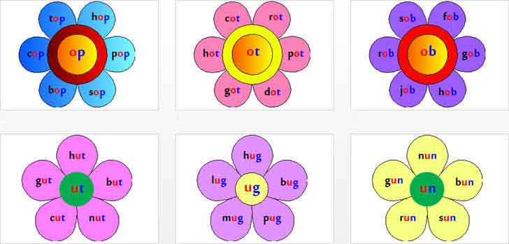 ͡¹͹ Ẻ֡ҹѾѧɤӷ͡§§ѹ word families flowers
