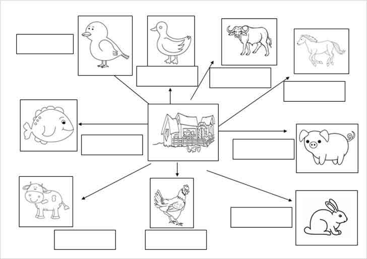 ͡¹͹ 㺧ҹѾŧҾѵ§㹿 Animals farm