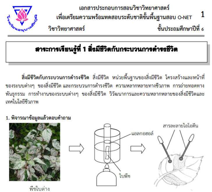 ͡¹͹ ͺ͹ѧ O-NET ԪԷʵ 鹻ж֡һշ 6  2552-2556 ¡شͺ͡С¹