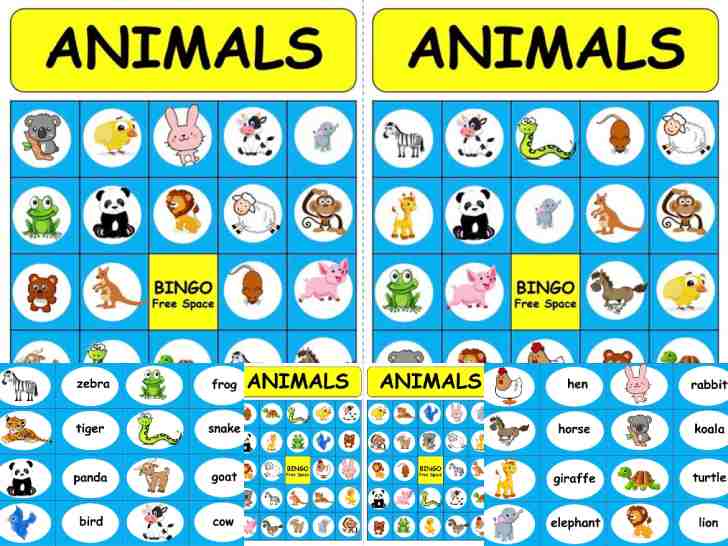 ͡¹͹ ԧѵѾѧ Bingo Animals