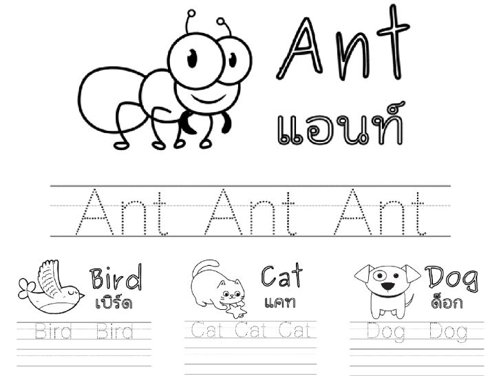 ฟรีสื่อการเรียนการสอน แบบฝึกคัดคำศัพท์เกี่ยวกับสัตว์ภาษาอังกฤษ A-Z ANIMALS