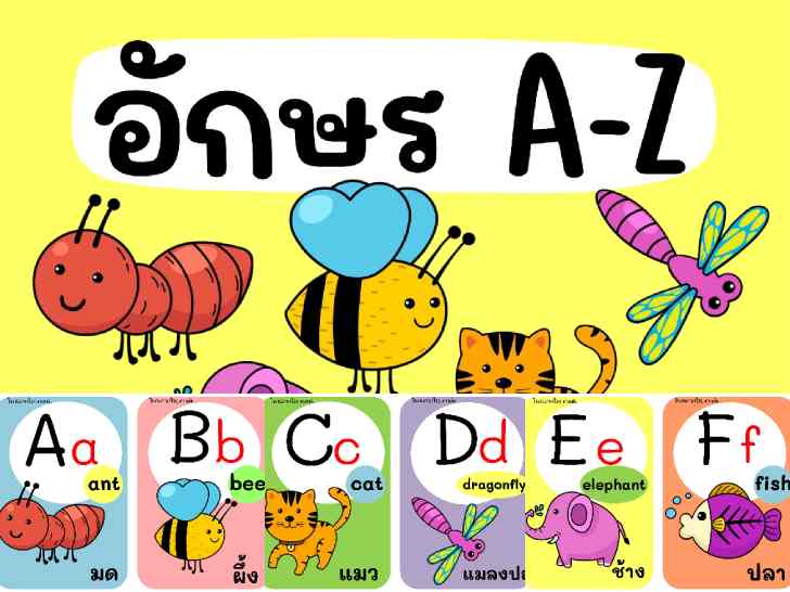 ฟรีสื่อการเรียนการสอน การ์ดบัตร A-Z ฉบับสัตว์น่ารักๆ ใช้ตกแต่งห้องเรียน